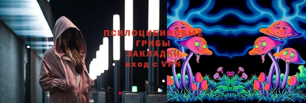 прущие грибы Зеленодольск