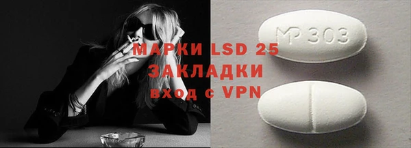 прущие грибы Зеленодольск